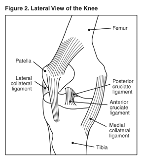 Knee Sprain